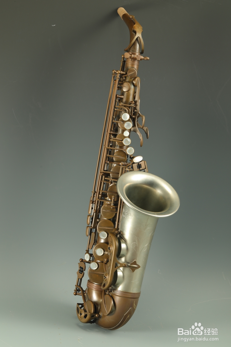 白铜萨克斯音色特点与保养细节