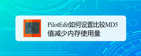 PilotEdit如何设置比较MD5值减少内存使用量