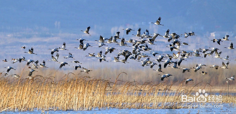 如何环境保护和治理