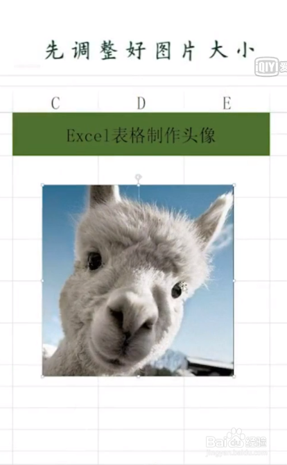 Excel教程之制作头像