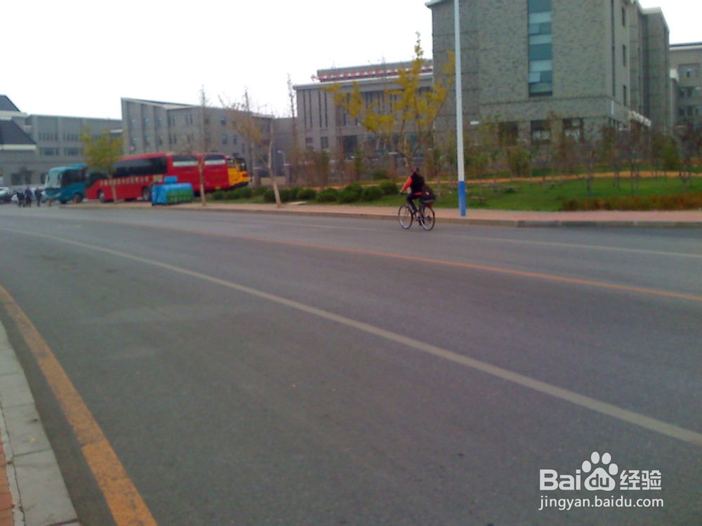 怎样告诉孩子安全过马路--153