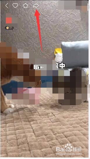 怎么下载快手里的视频
