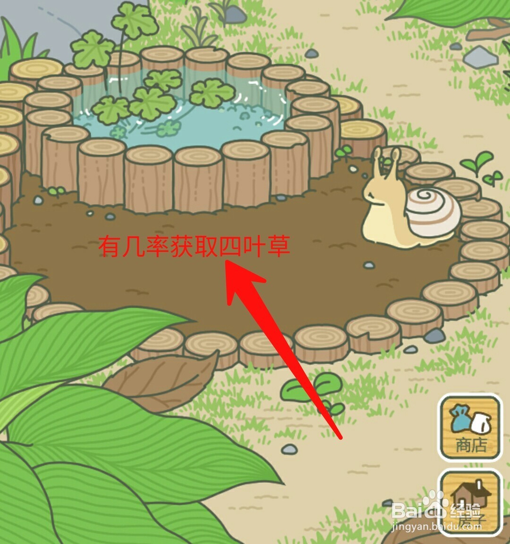 旅行青蛙没有护身符怎么办