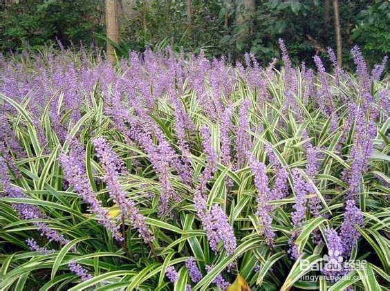 什么食物让您睡得更香