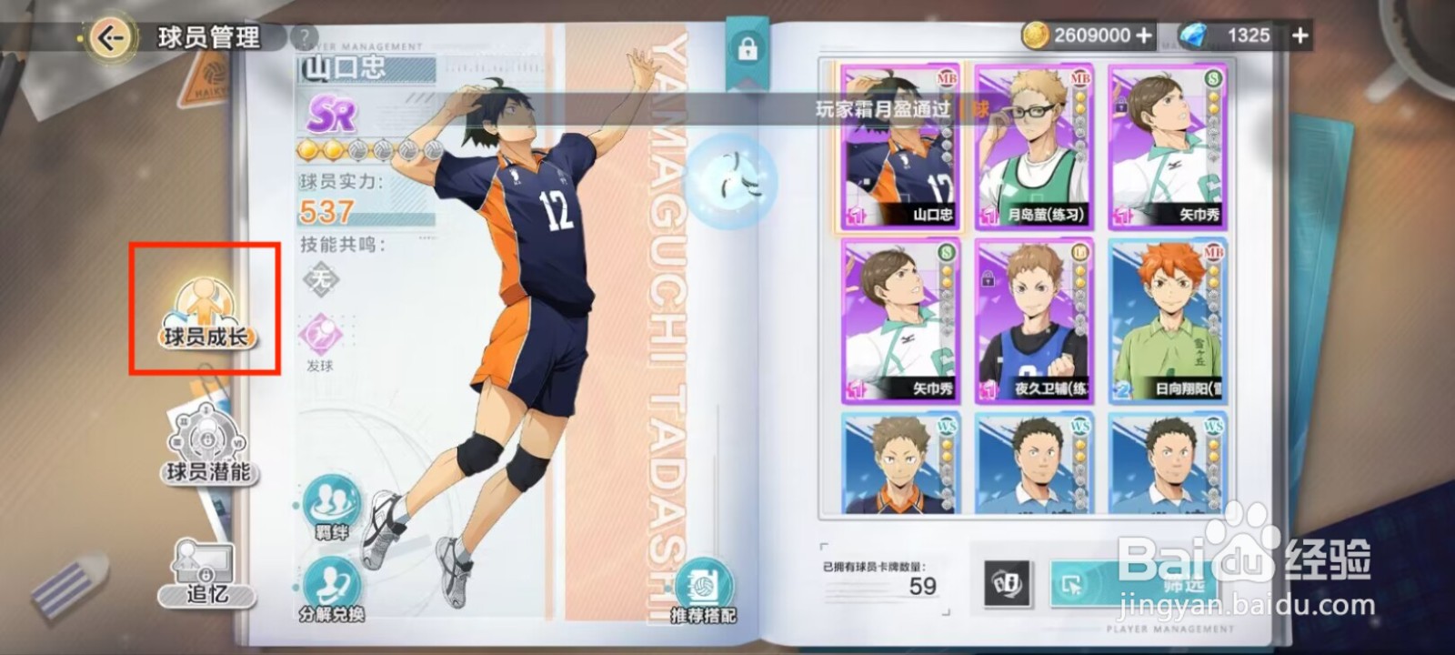 排球少年新的征程如何提升山口忠等级？