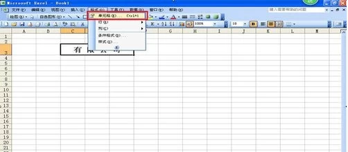 excel单元格文字怎么添加双下划线?