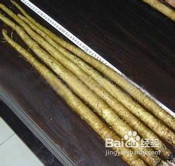 牛蒡的功效与作用及食用方法