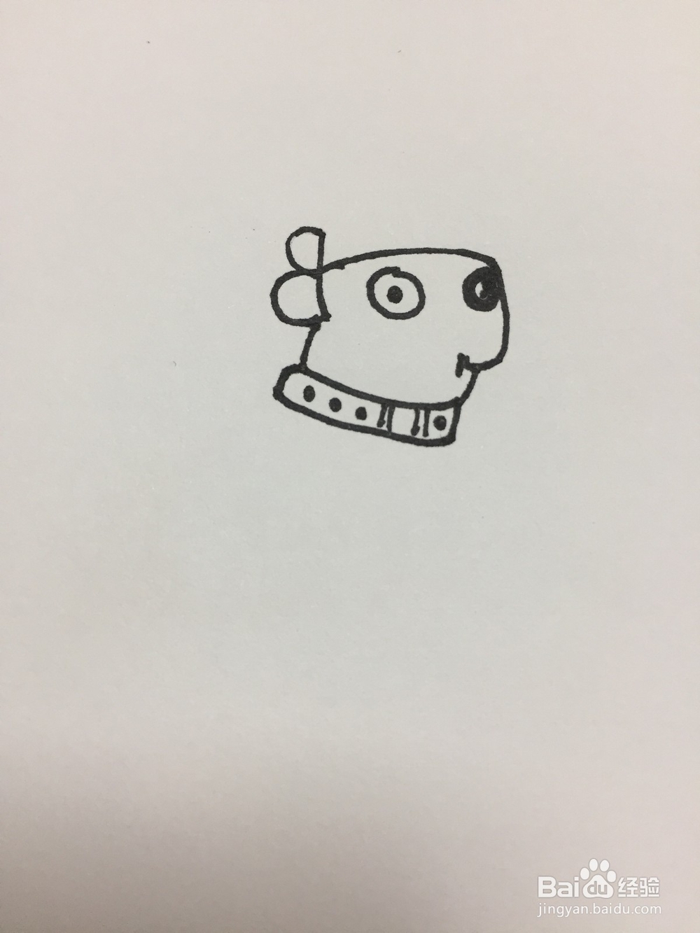 用英文dog画狗狗