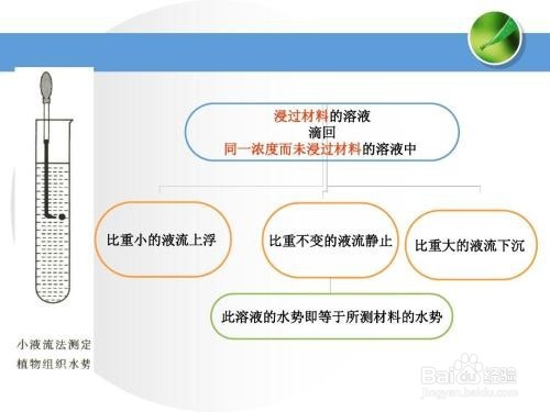 小液流法进行植物组织水势的测定方法