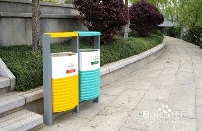 一个月的泰迪怎么养