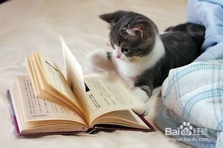 如何改变自己。