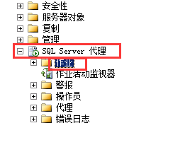 SQL2008数据库建作业