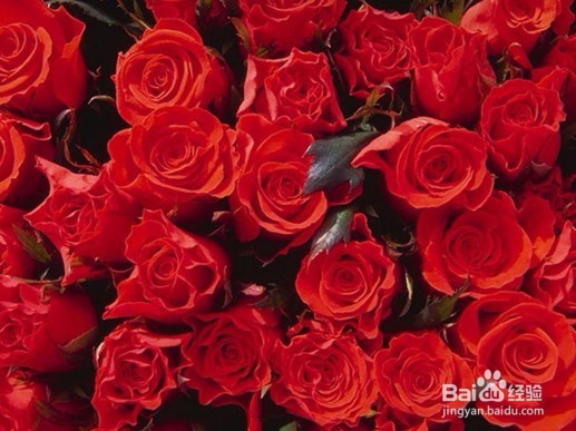 你真的懂得养生之道吗