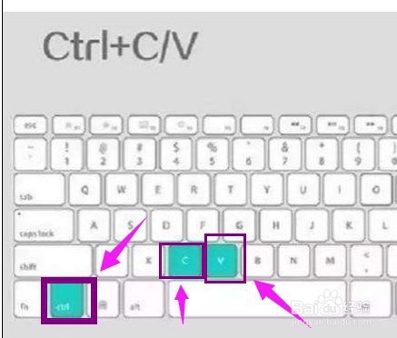 网页不能复制粘贴内容如何轻松解决