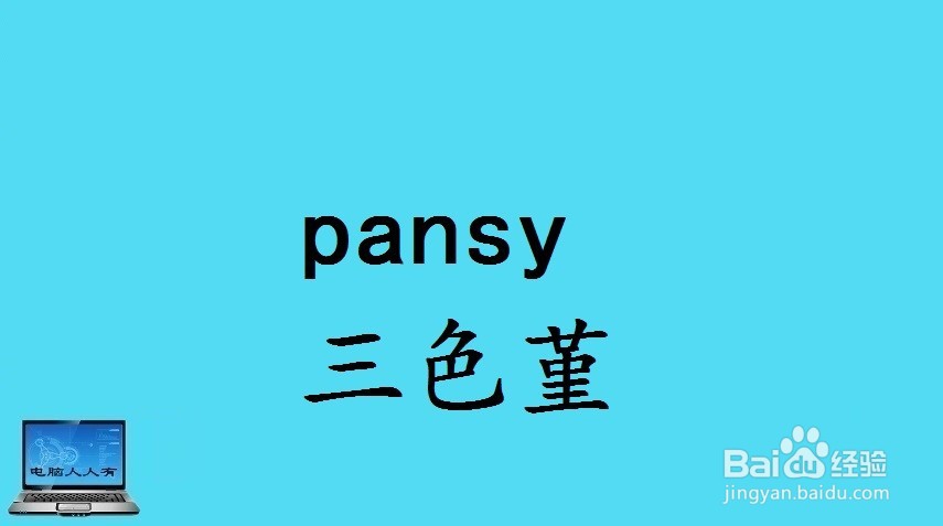 花相关的英语单词