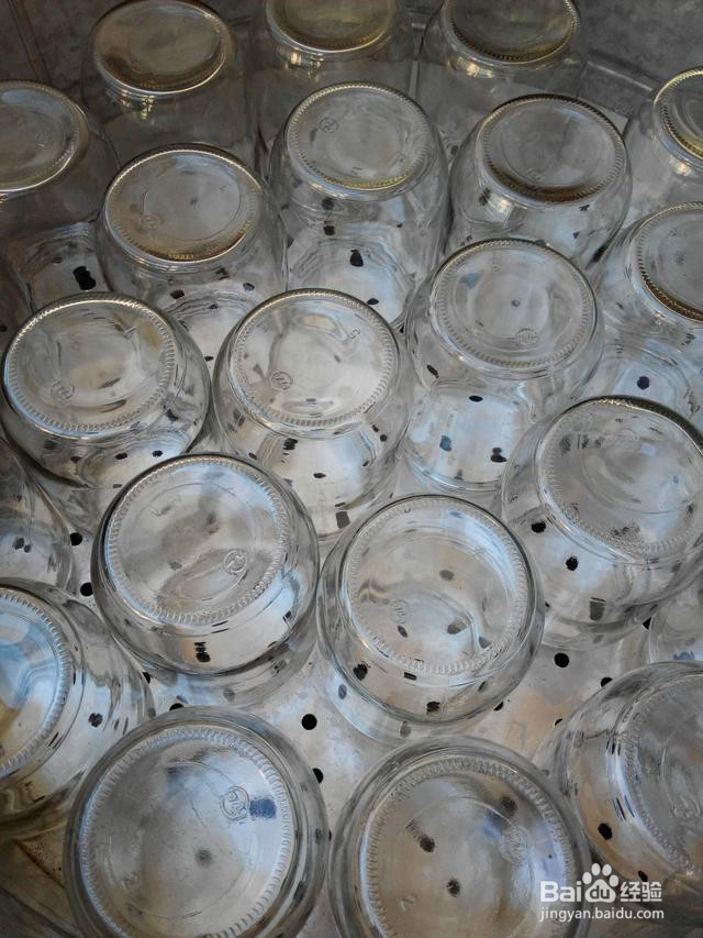 自制罐头，好吃好看又健康