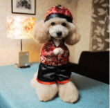 如何训练狗狗作揖