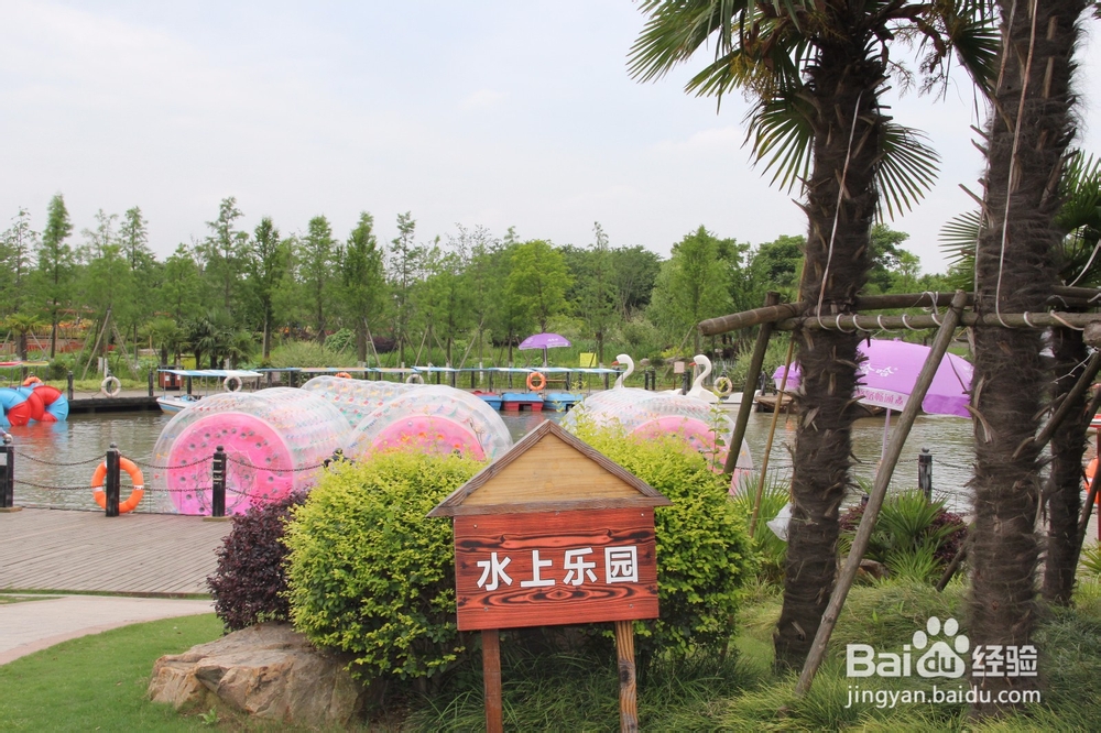 上海旅游攻略之周浦花海