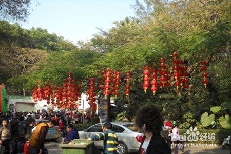 #过年#大年初一干点啥去？