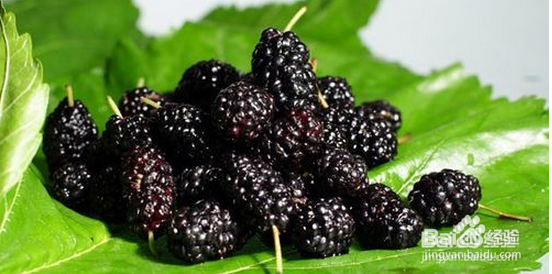 肾是我们最重要的部位之一，怎么可以补肾？