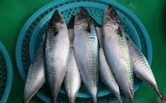 预防和减少耳鸣的饮食指南