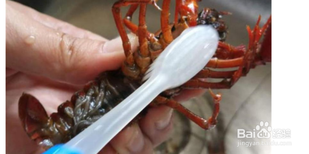 正宗油焖大虾做法教程大全