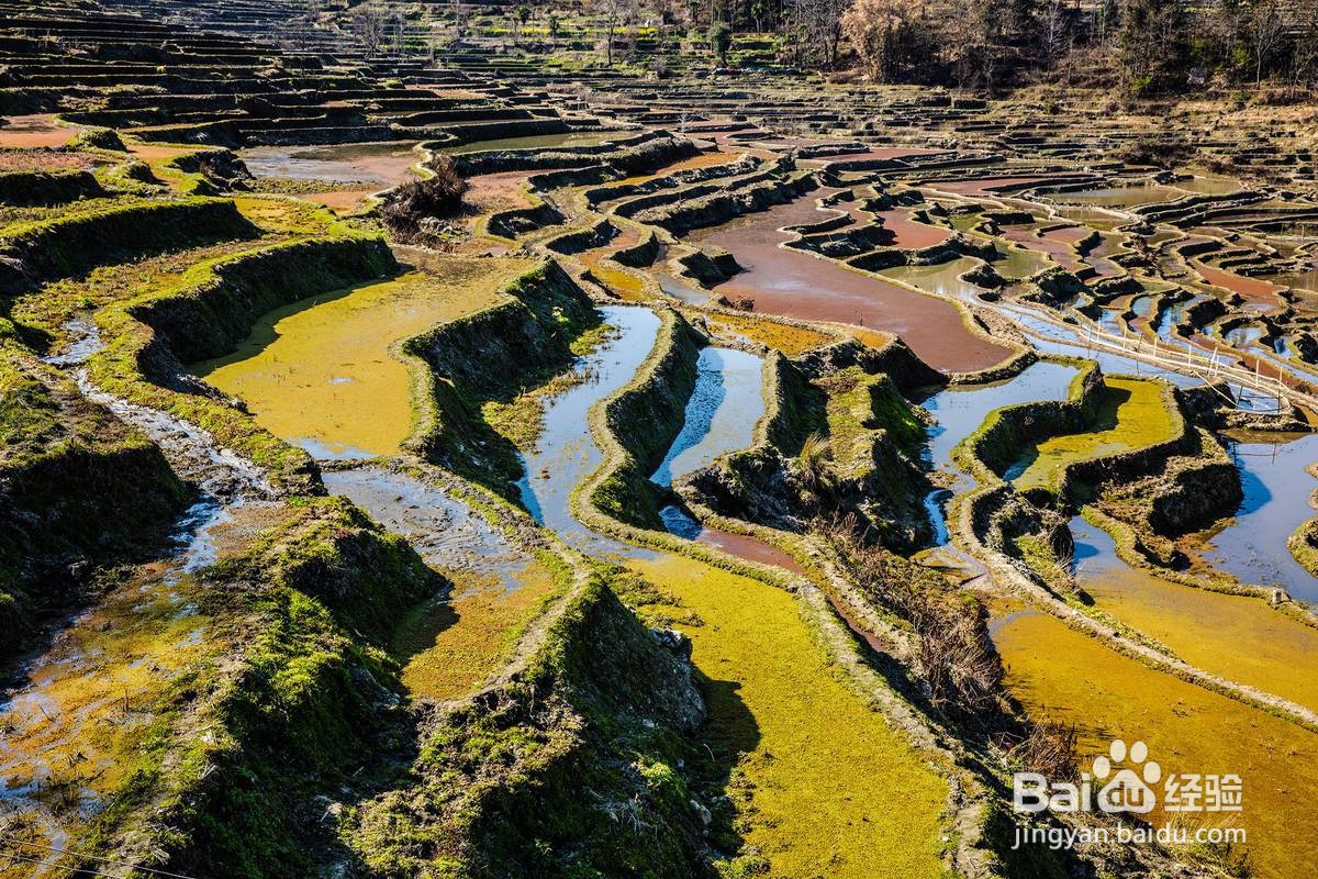 红河哈尼族彝族自治州周边好玩人气旅游景点推荐