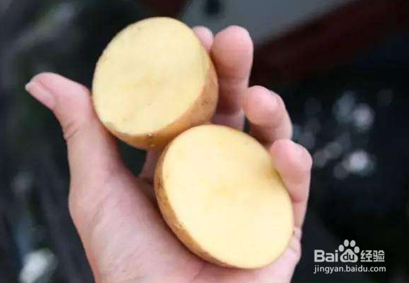 土豆除了吃之外还有哪些其他其用途