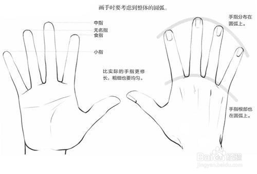 动漫人物手臂怎么画?