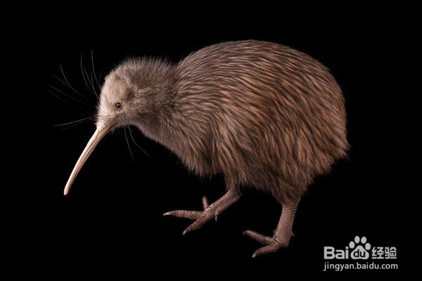 出国旅游应该知道的旅游禁忌（三）