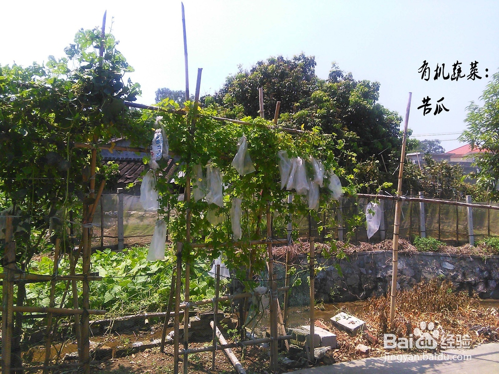 美味、可口农家汤