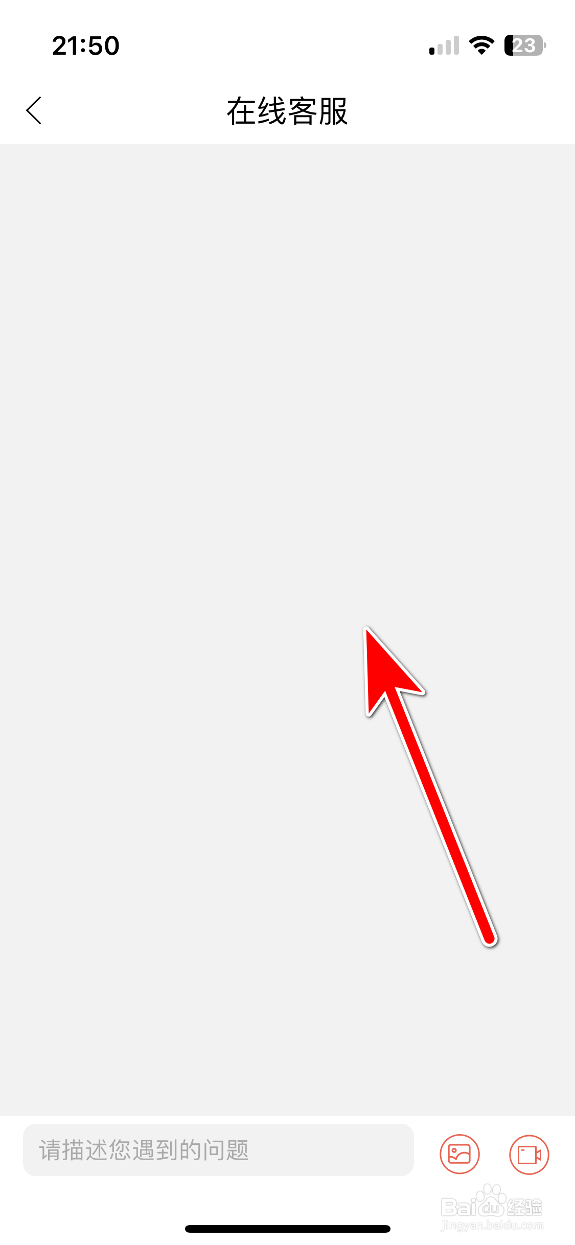 假装CP如何联系客服