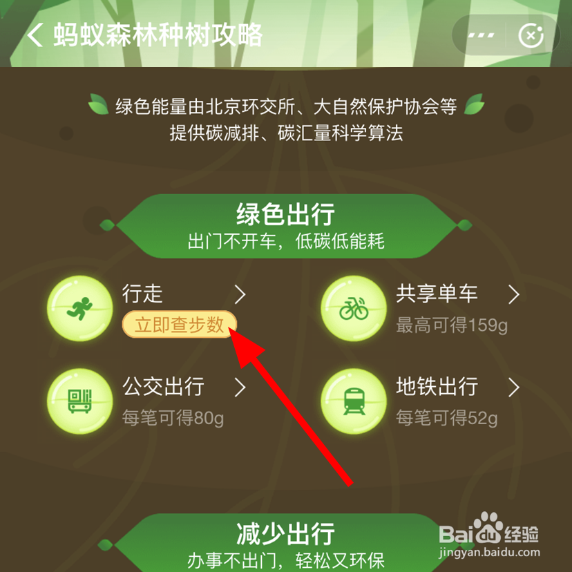 支付宝蚂蚁森林中怎么看行走的步数