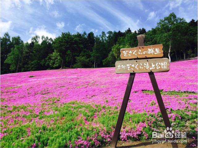 用对日本护肤品让你在北海道的夏天美如花！