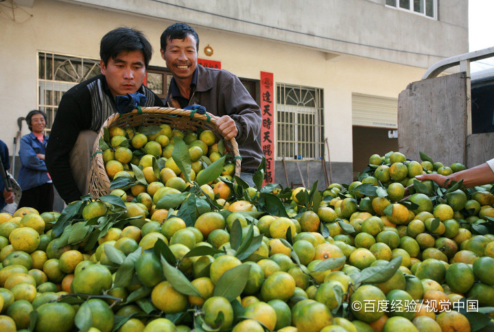 橘子皮在生活中的妙用