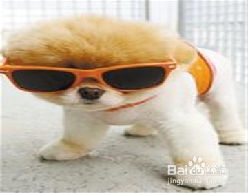 遇见混混怎么办？