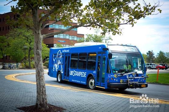 学院街攻略：[92]SUNY Buffalo交通出行攻略