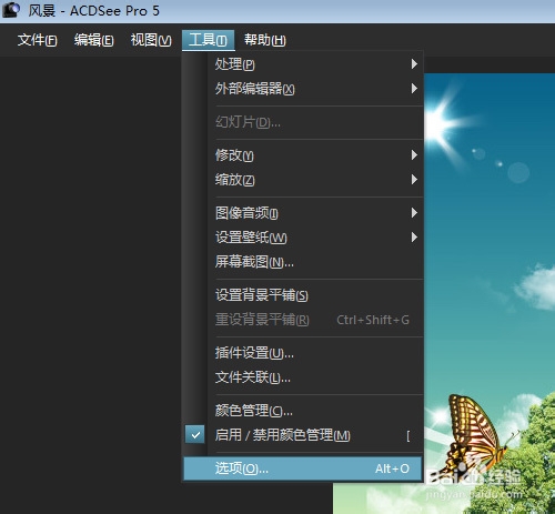 ACDSee遇到一个系统错误并将立即关闭怎么办？