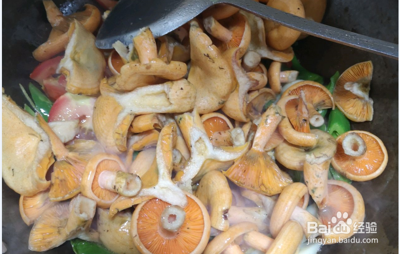 紫花菌怎么炒好吃