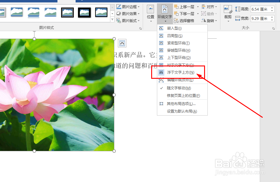 Word中如何设置图片排版样式