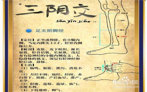 健康/养生 > 保健养生1 三阴交在足踝内侧向上一掌的距离,位置如下图.