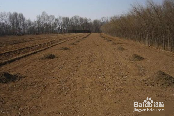 如何利用天利固液分离机TL-200对畜禽粪便处理