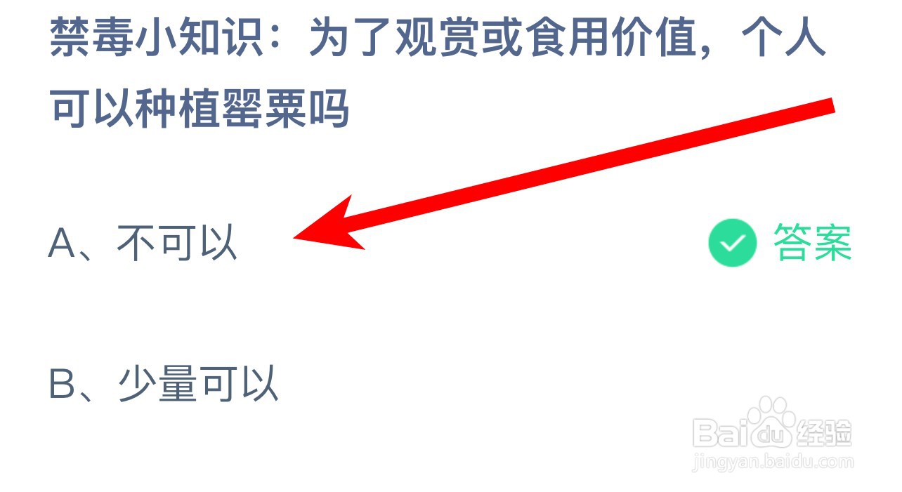 蚂蚁庄园2024年6月26日个人可以种植罂粟吗？