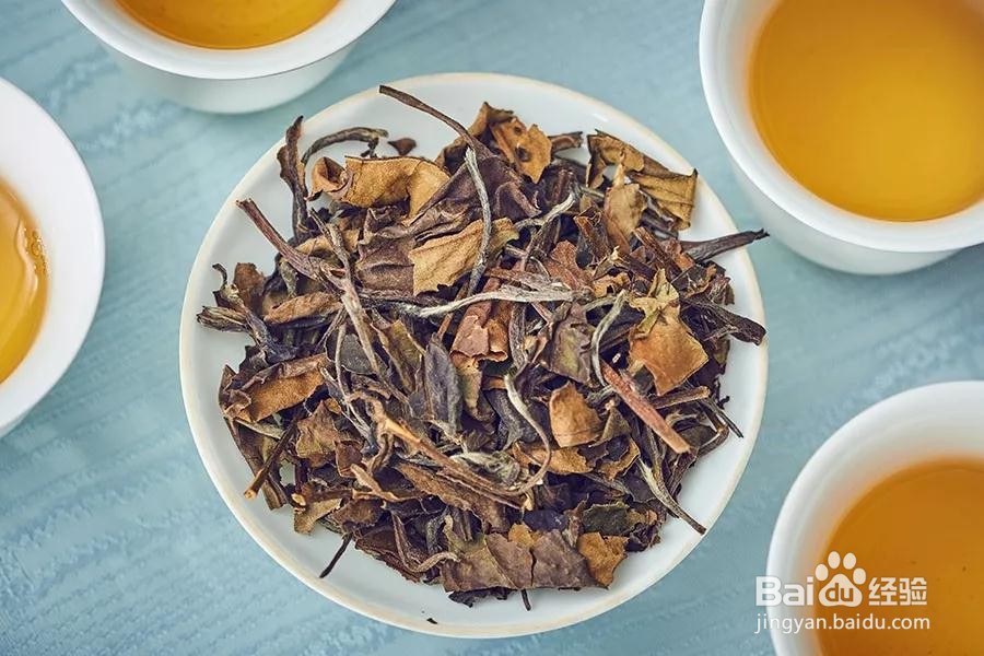 白茶产地在中国哪个省