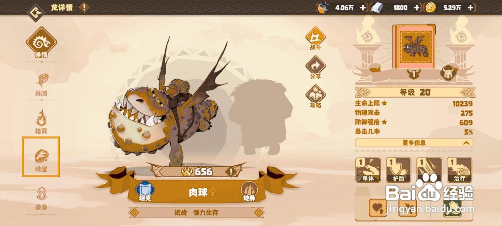 如何为驯龙高手旅程肉球穿戴珍宝？