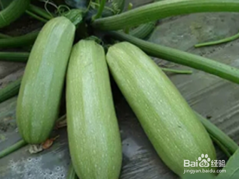 五种方法让你摆脱便秘的困扰