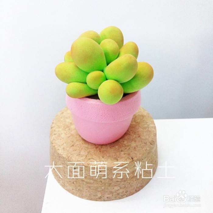 粘土的种类,新手选择推荐