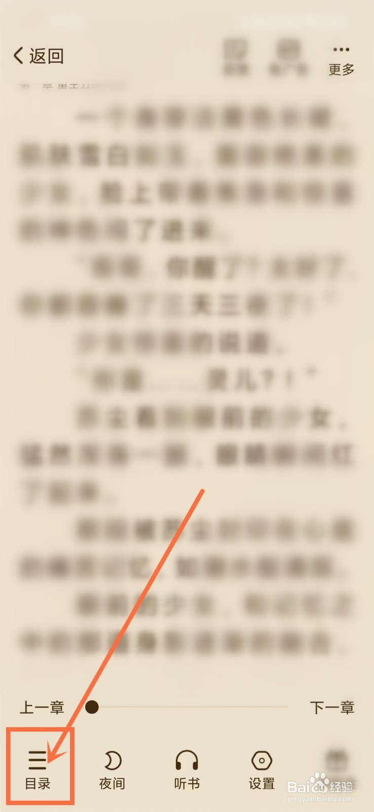 必阅小说看书怎么选择章节