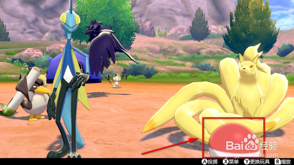 宝可梦剑盾露营组合怎么用