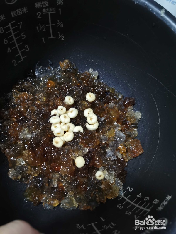 桃胶川贝炖雪梨